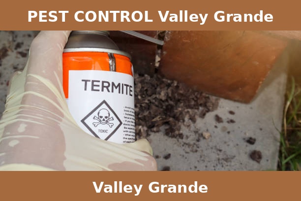 PEST CONTROL Valley Grande